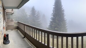 Un balcón con muro de piedra, barandilla de madera y vista a altos árboles de hoja perenne entre la niebla.