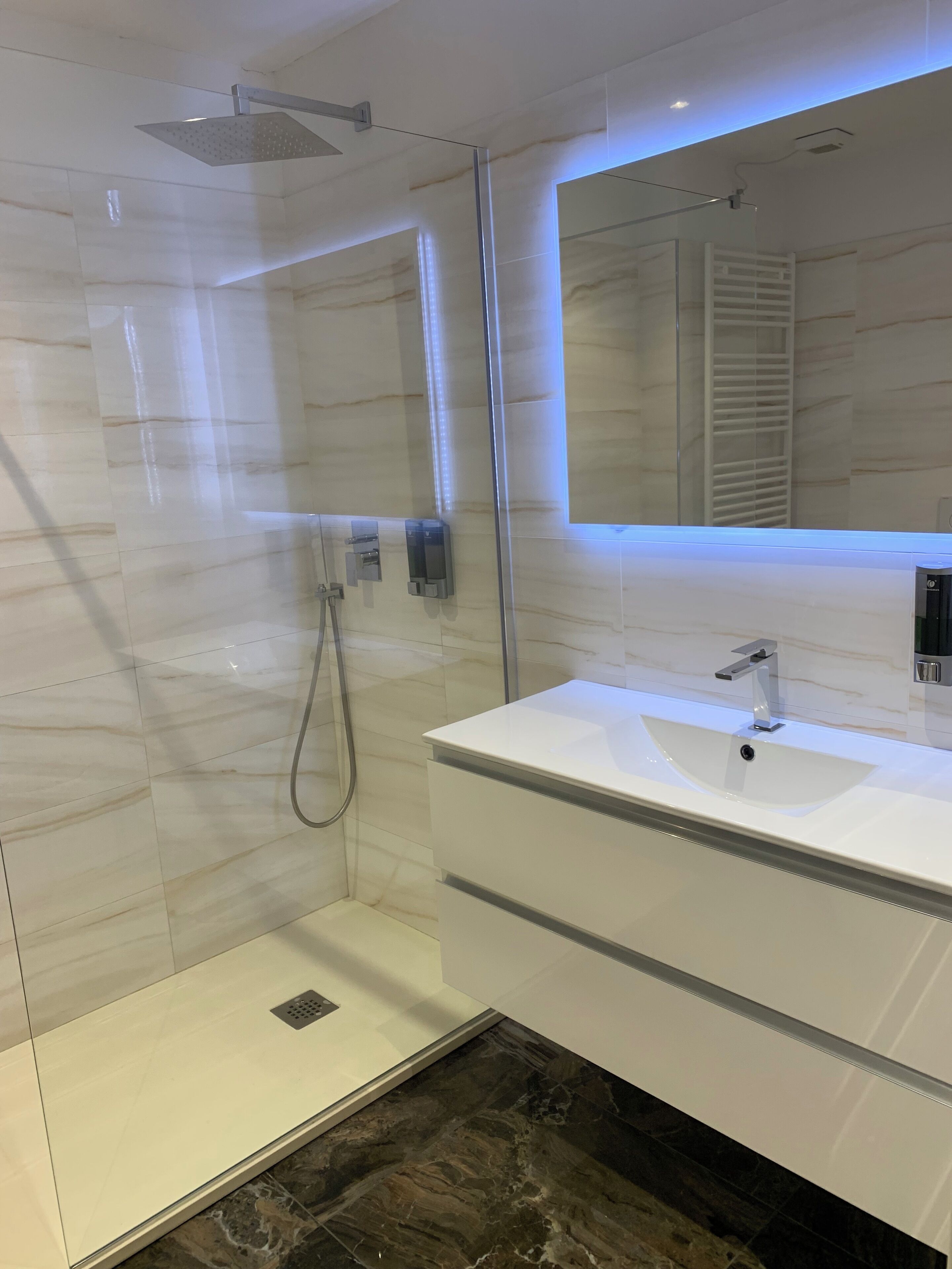 Shower, hair dryer, bidet, towels