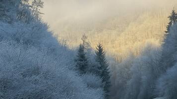 A road curving through a frost-covered landscape with trees and a clear sky.