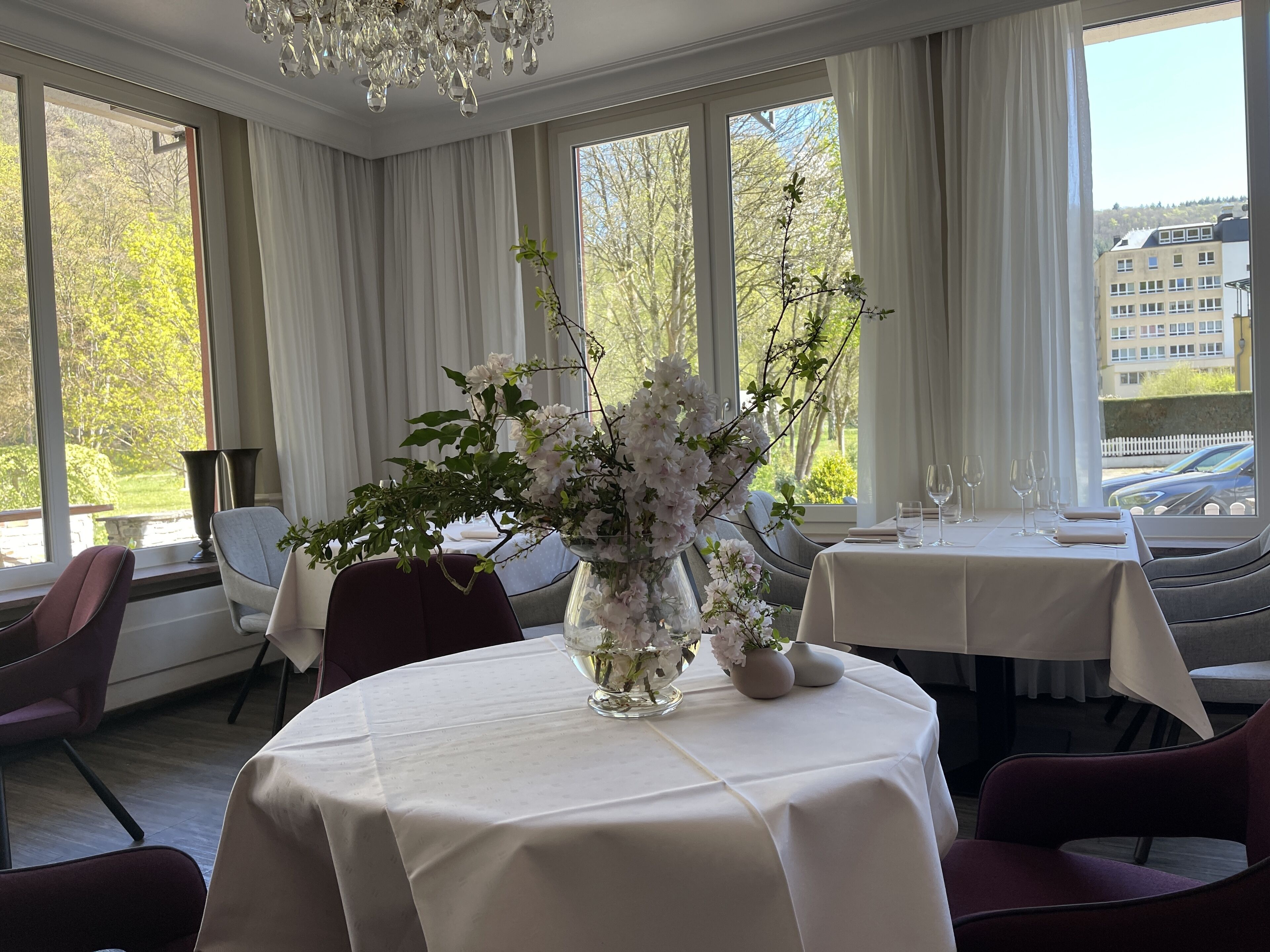 Dinner served, garden views 