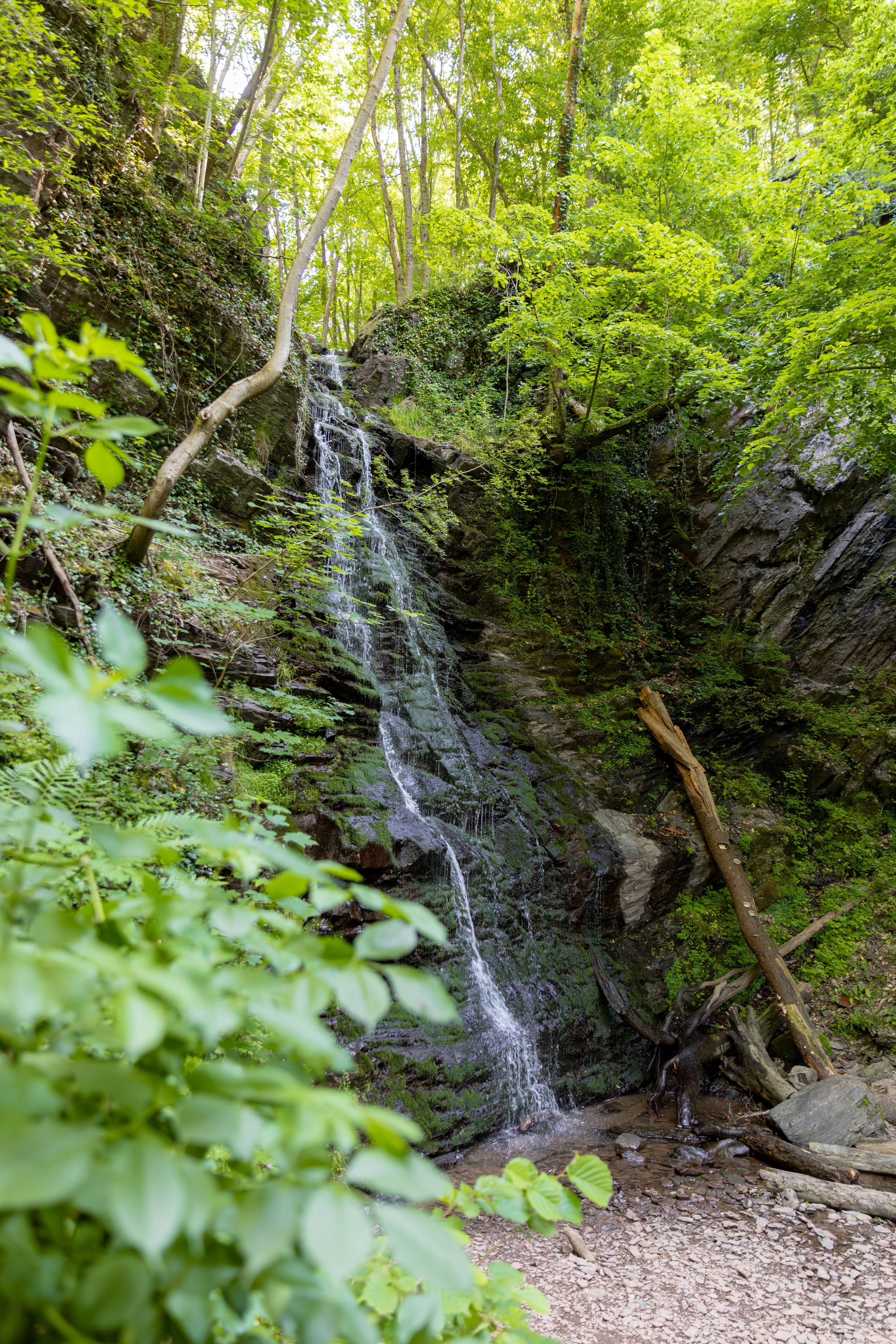 A natural waterfall in a forested area with dense greenery and rocky terrain.