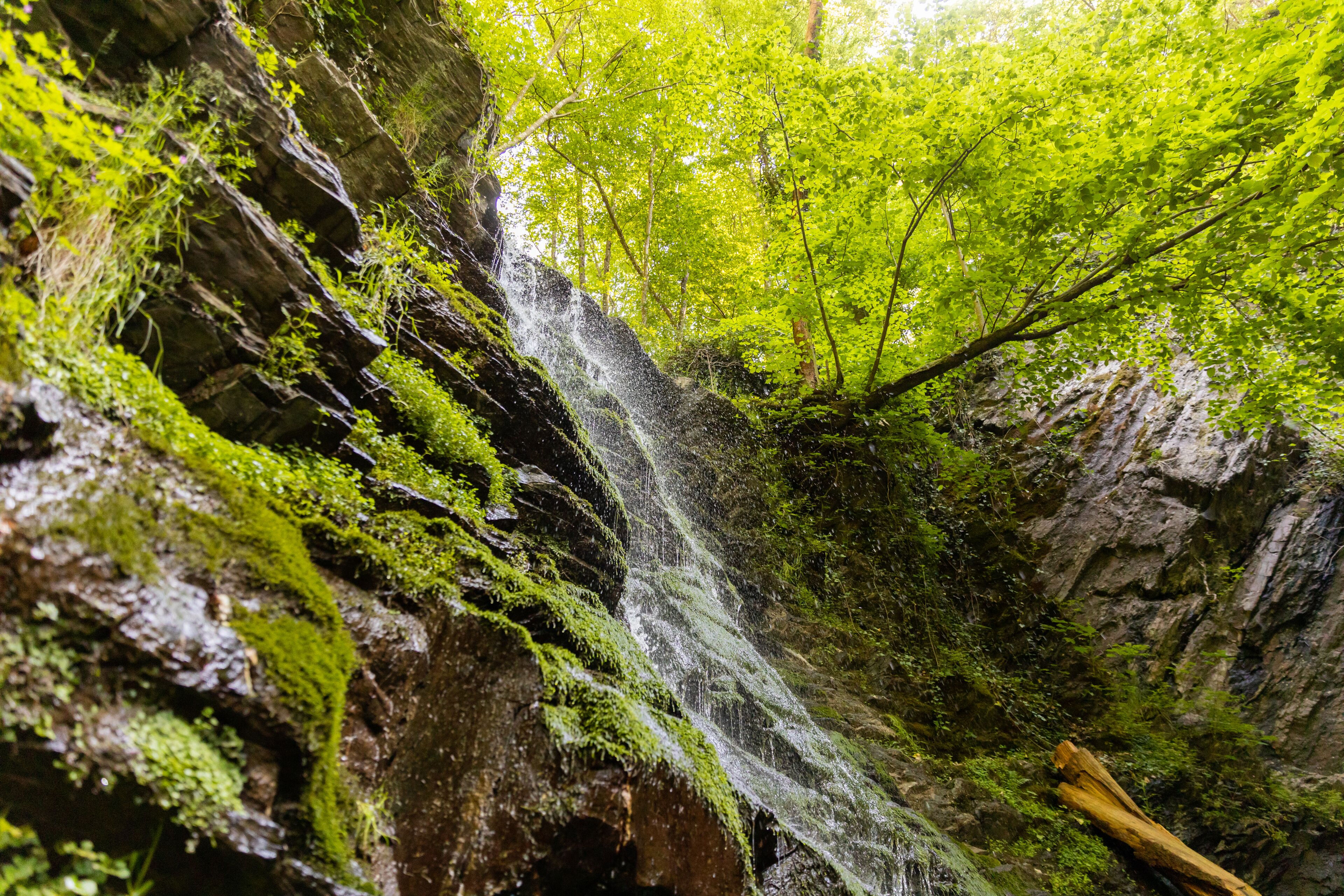 Ein Wasserfall stürzt über eine felsige Klippe, umgeben von üppigem Grün.
