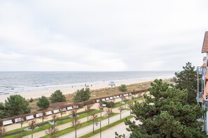 Imagen sin descripción, 5 de 22, botón