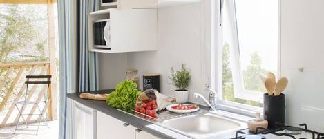 Réfrigérateur, micro-ondes, four, plaque de cuisson