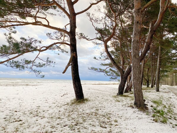 Nära stranden