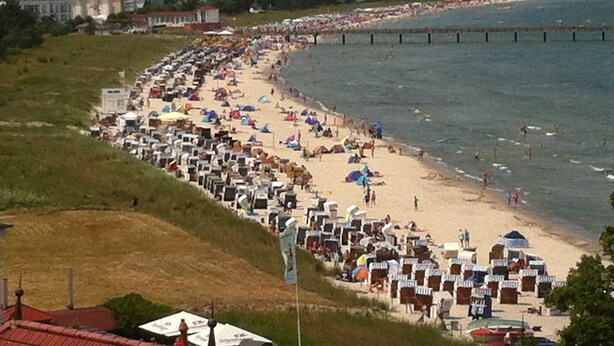 A beach with rows of beach chairs and umbrellas, a pier in the background, and a building with red roofs.