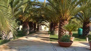 Unclassified image, 4 of 26, button - Holiday Home in Trinitapoli near Adriatic Sea (Trinitapoli, BARLETTA)