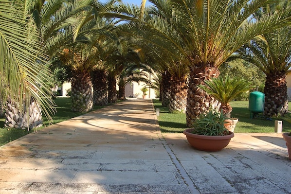 Property grounds - Holiday Home in Trinitapoli near Adriatic Sea (Trinitapoli, BARLETTA)