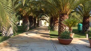 Parco della struttura