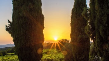 Servicio de la propiedad