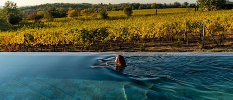 Una piscina al aire libre de temporada, sombrillas