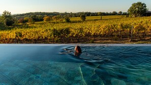 Seasonal outdoor pool, pool umbrellas, pool loungers - Villa Le Prata - Residenza del Vescovo  (Montalcino)