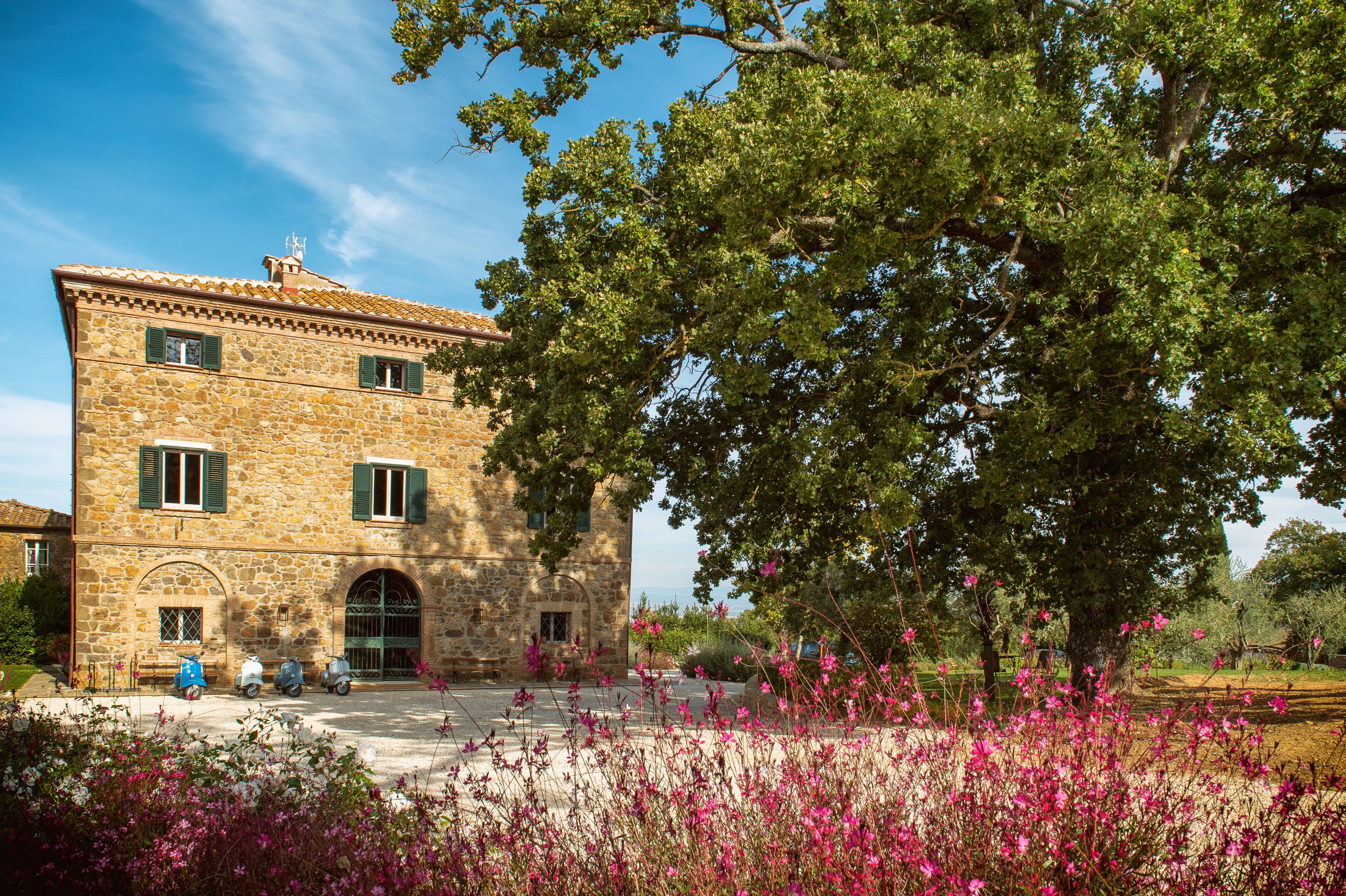 A stone building with a large tree in front, a paved area, and pink flowers.