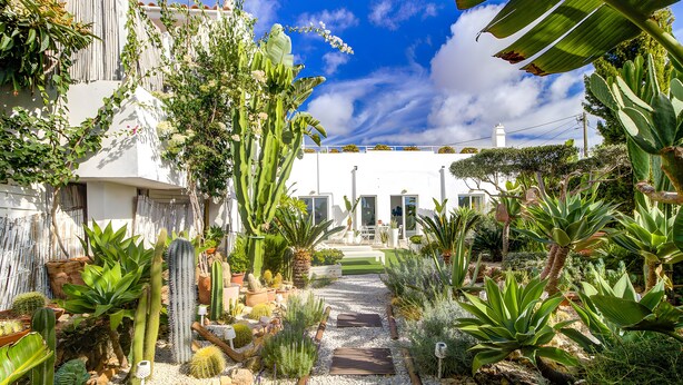 A garden pathway leading to a white building with multiple doors and windows.