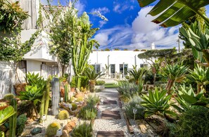 A garden pathway leading to a white building with multiple doors and windows. - Villa Rafa with Private Pool, Garden, Wi-Fi & A/C (Albufeira)