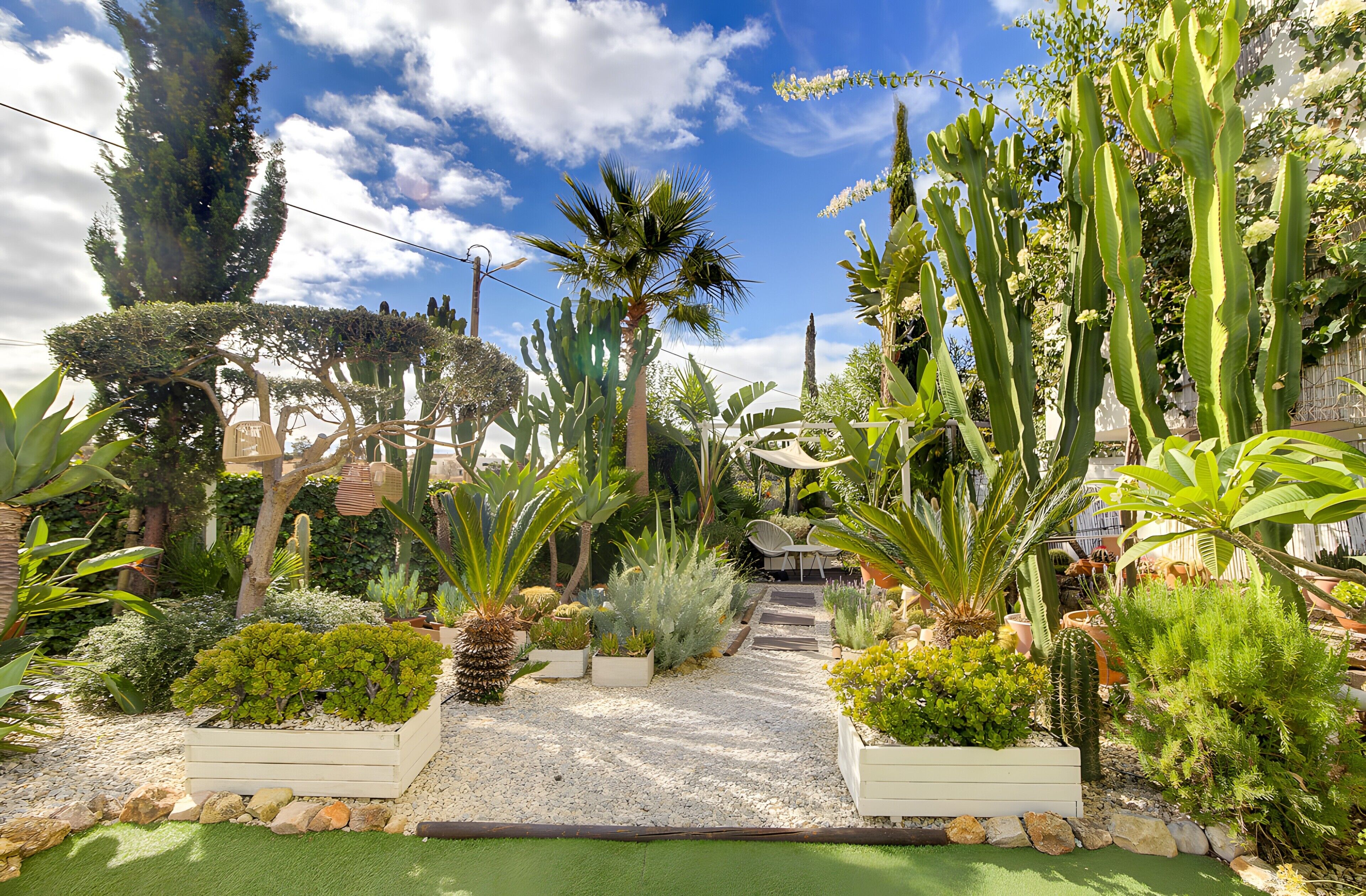 A garden with various plants, a pathway, and a building in the background.