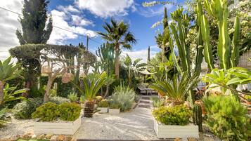 A garden with various plants, a pathway, and a building in the background.
