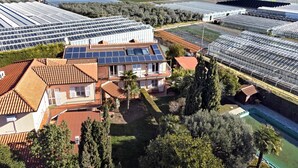 Un vaste complexe de serres équipé de nombreux panneaux solaires, entouré de bâtiments résidentiels et de champs agricoles.