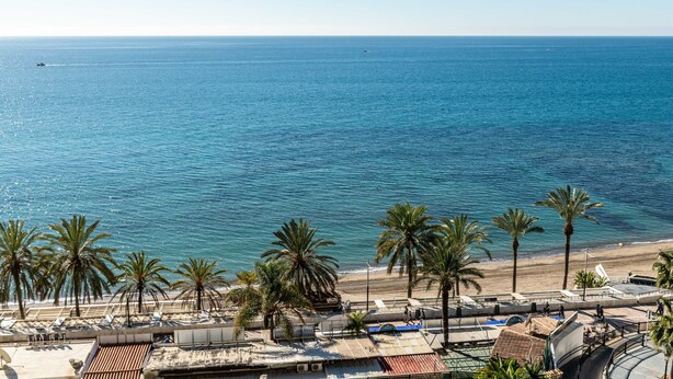 Vista costera con playa, palmeras y cielo despejado.