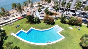 Una piscina con borde curvo, rodeada de césped cuidado y palmeras.