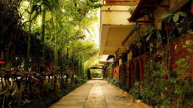 A narrow pathway flanked by lush greenery and potted plants, leading to a building with a tiled roof and brick walls. - The Green Path (Bengaluru)