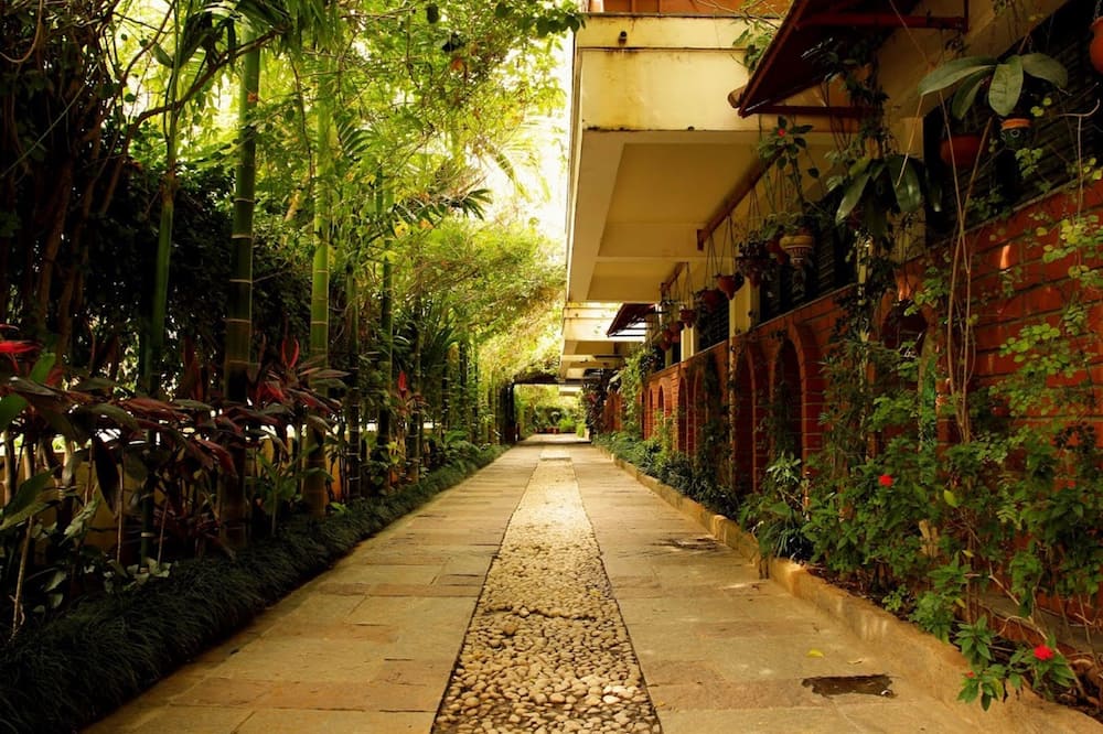 The Green Path