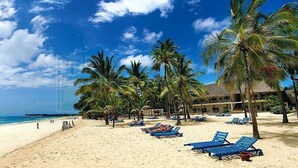 Una playa con palmeras, cielo despejado y un edificio de techo de paja.