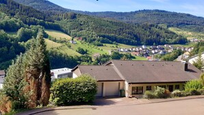 A residential area with houses, a road, and a mountain in the background.