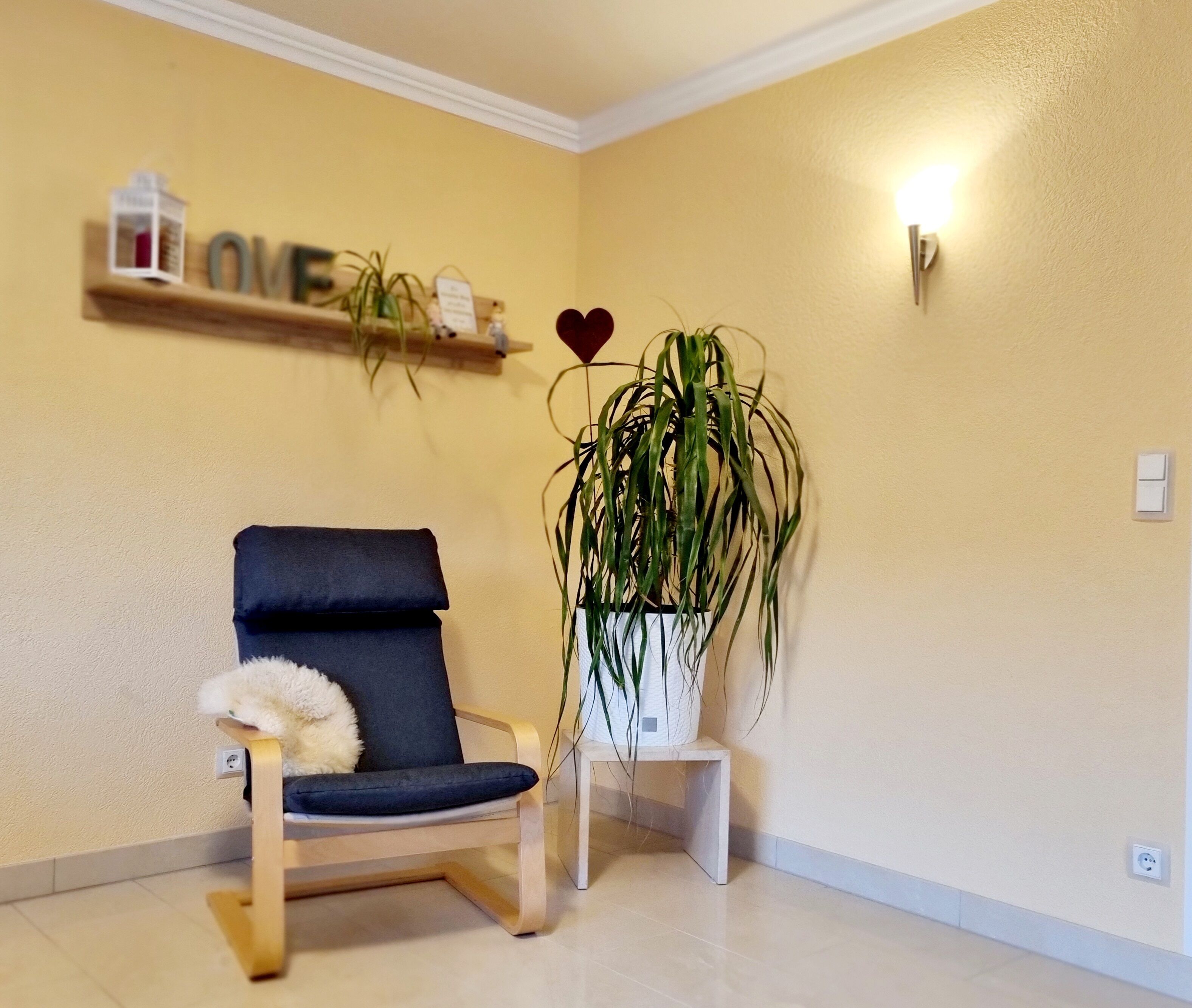 A room with a wooden chair, a potted plant, a shelf with decorative items, and a wall-mounted light.