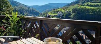 Vacation apartment Panter- dream view in the Black Forest
