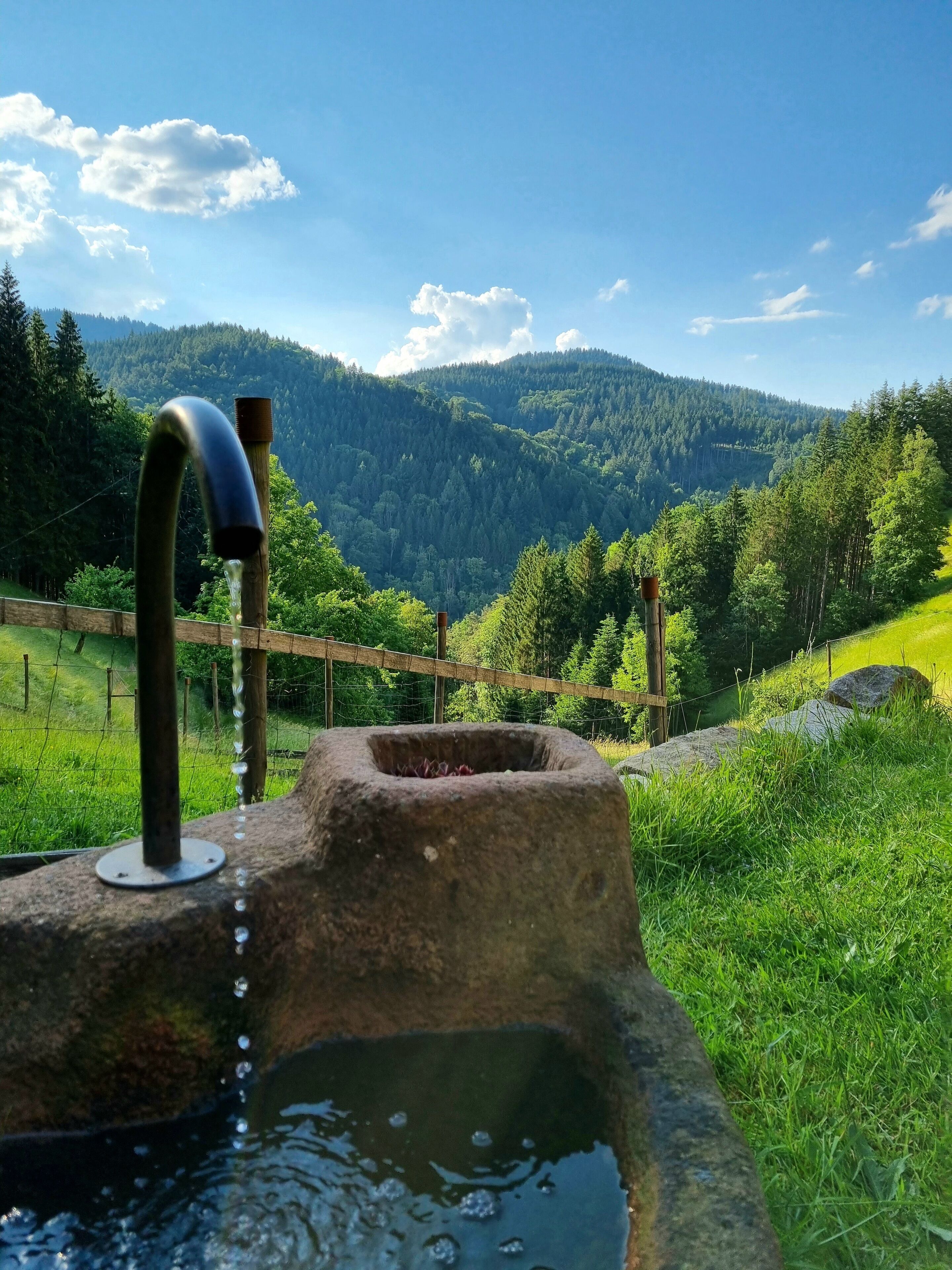 Un élément décoratif extérieur de style rustique, avec un bec verseur incurvé, entouré d’une végétation luxuriante et adossé à un paysage montagneux.