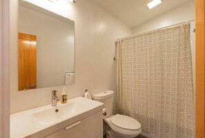 A bathroom with a white sink, a mirror, a toilet, and a shower curtain with a geometric pattern. - Modern, Eco-Friendly Home - Walking distance to Downtown Missoula & St. Pats Hospital (Missoula)