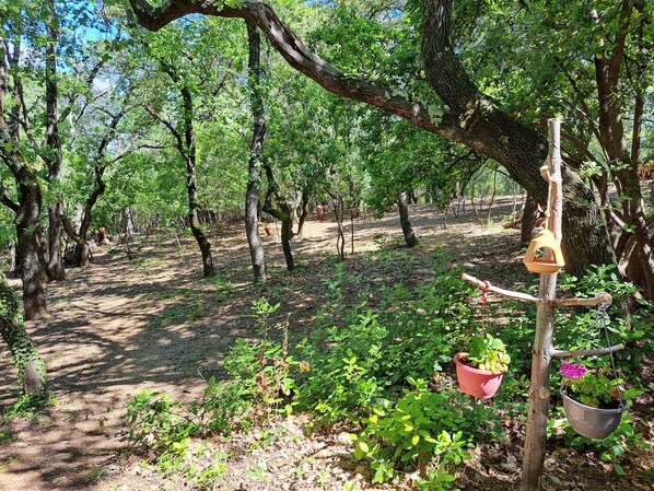 Property grounds