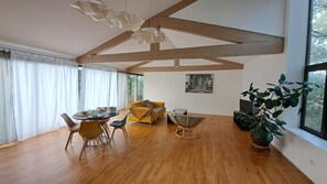 TV, books - Bright loft-style apartment in the woods (Saint-Paulet-de-Caisson)