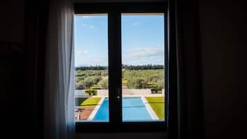 Camera Superior con Letto Matrimoniale | View from room