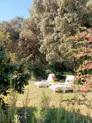 Jardines del alojamiento