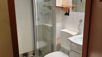 Un baño pequeño con ducha envuelta en vidrio, un inodoro blanco y un lavabo con espejo.