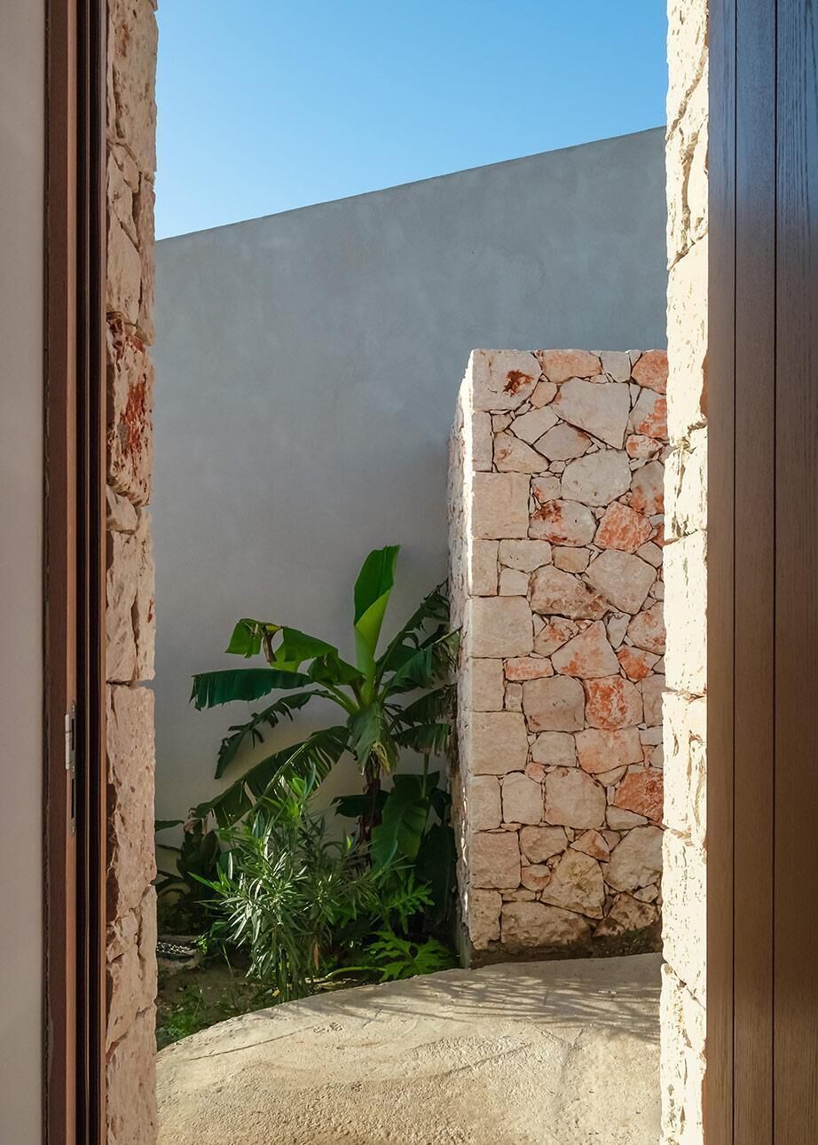 Pared de piedra con una planta en una esquina.