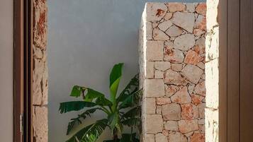 Pared de piedra con una planta en una esquina.