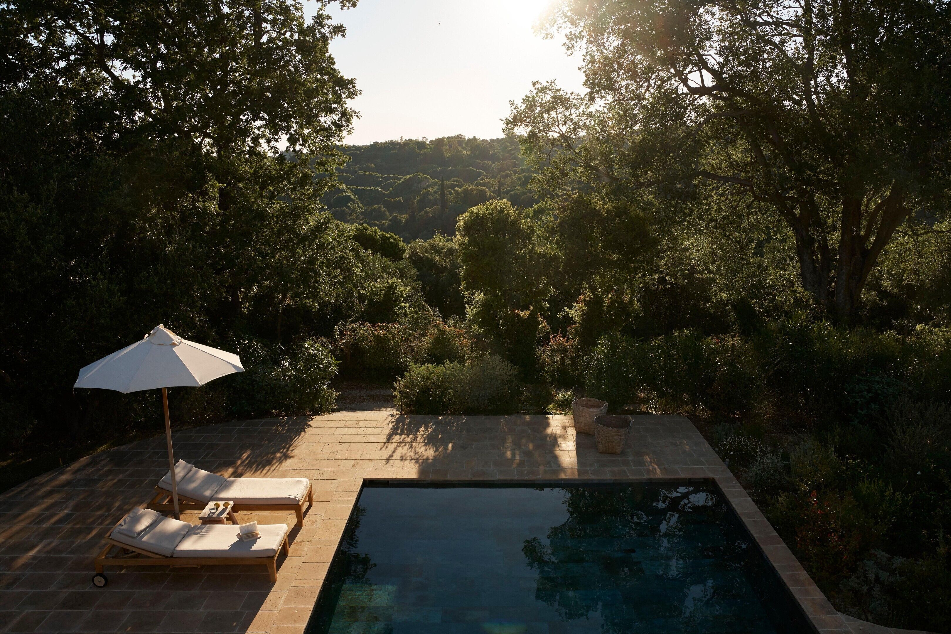 A swimming pool with lounge chairs and an umbrella, surrounded by lush greenery.