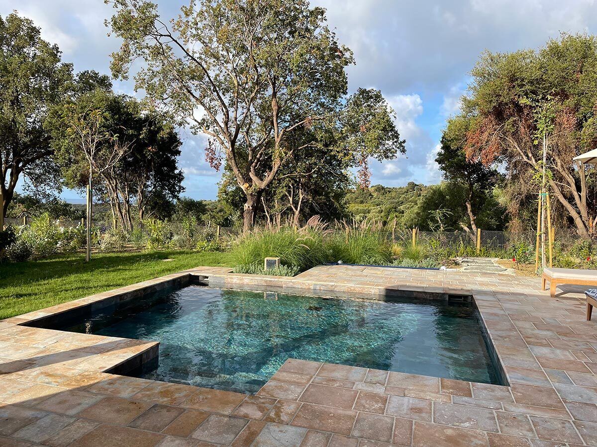 Une piscine rectangulaire, bordée d’une terrasse carrelée et entourée d’une végétation luxuriante et d’arbres.