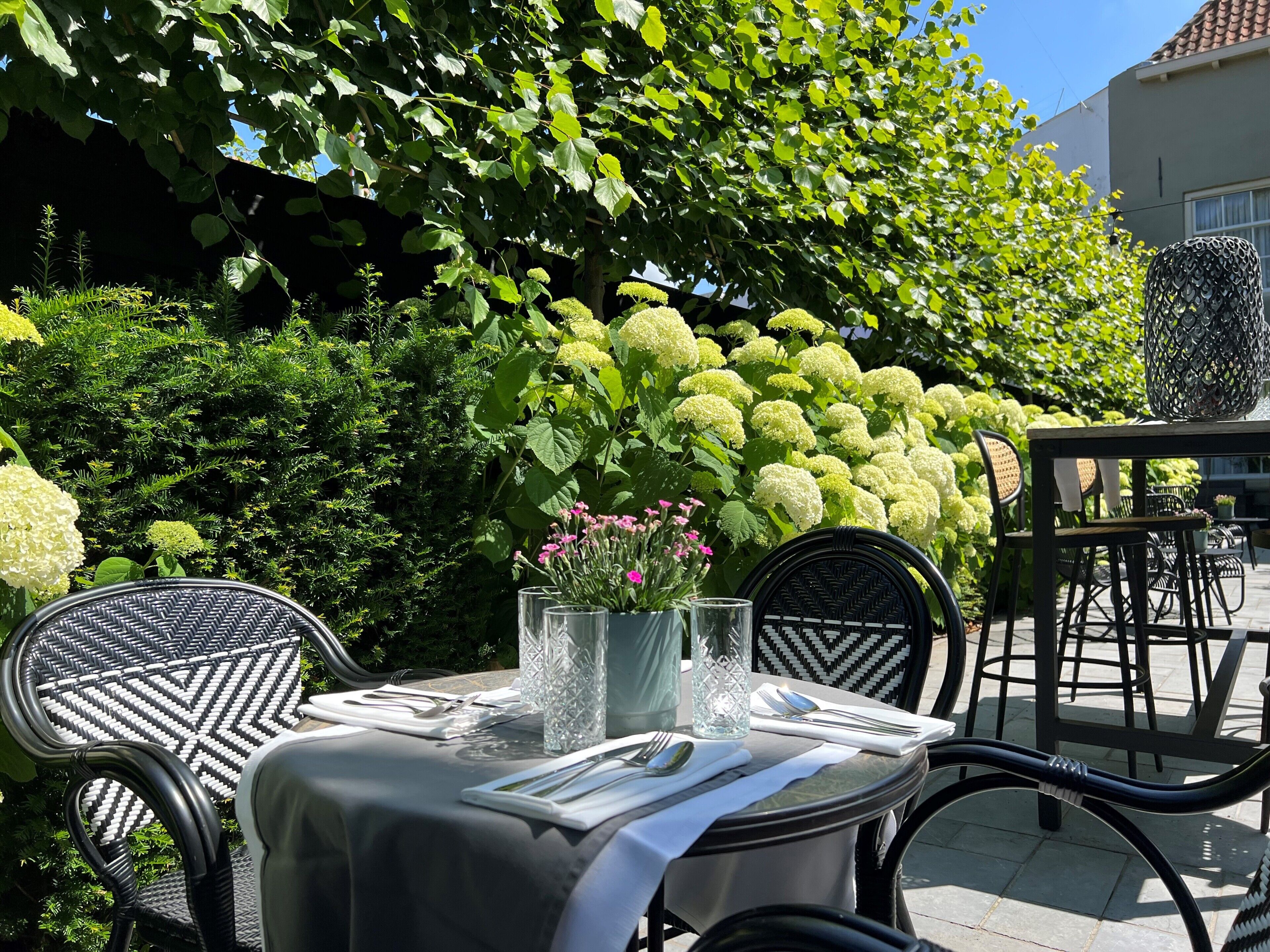 Tuin