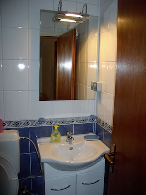 Combined shower/bathtub, hair dryer