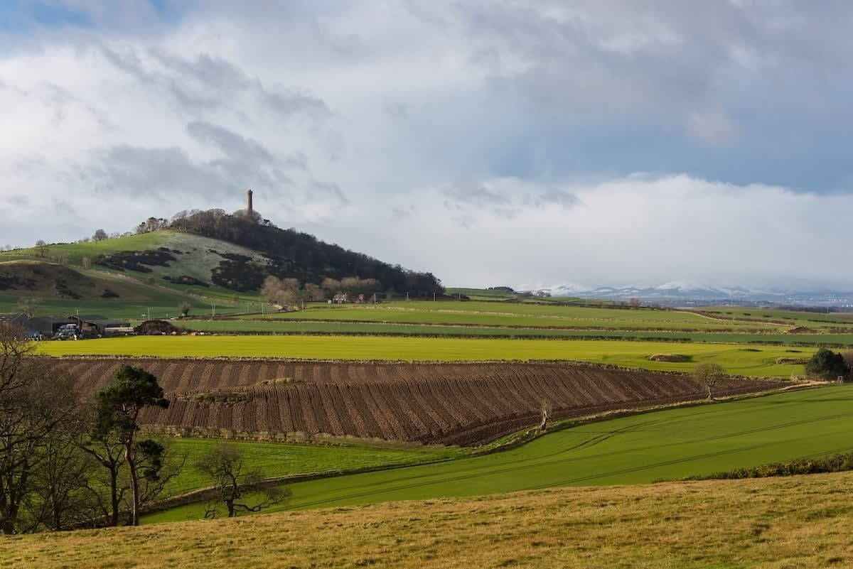 A rural landscape with a hill, fields, and a tower.