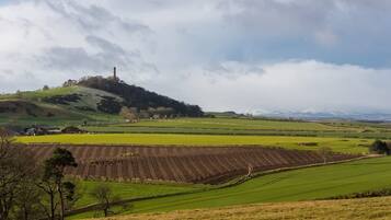 A rural landscape with a hill, fields, and a tower.