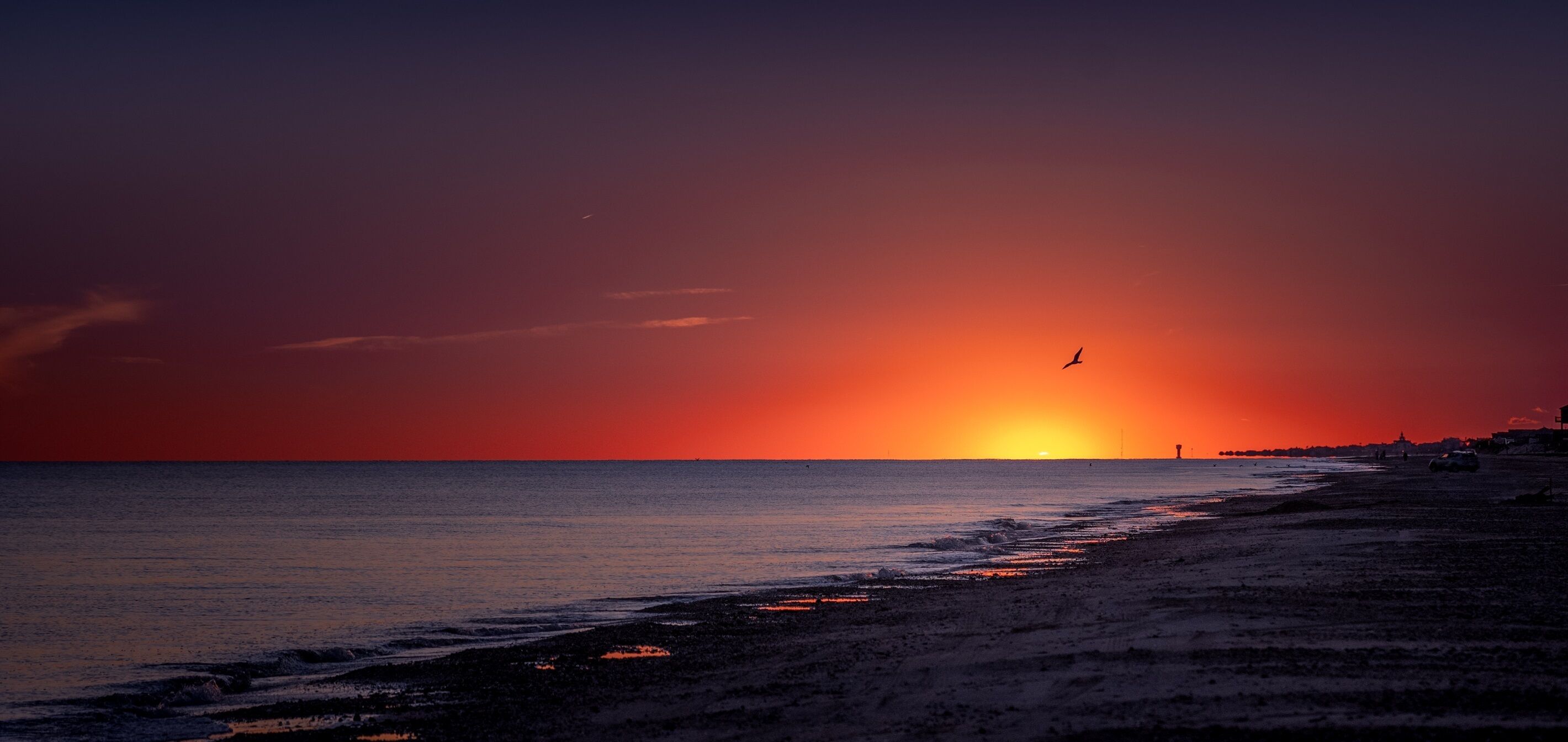 A sunset over a beach with a bird flying, calm water, and a distant city skyline.