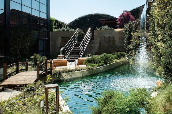 Habitación ejecutiva | Terraza o patio