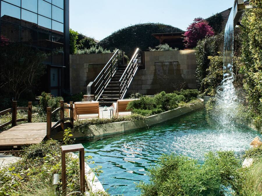 Chambre Exécutive | Terrasse/Patio