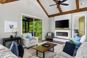 电视、DVD 播放器