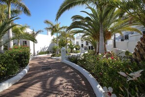 Terrain de l’hébergement 